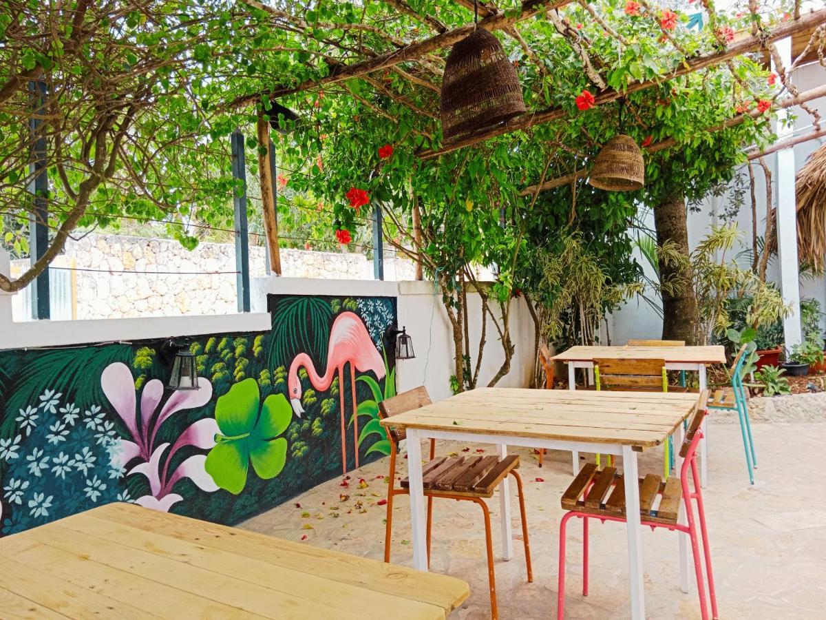 Tribe Inn Jungle & Flamingo Bayahibe Exteriér fotografie